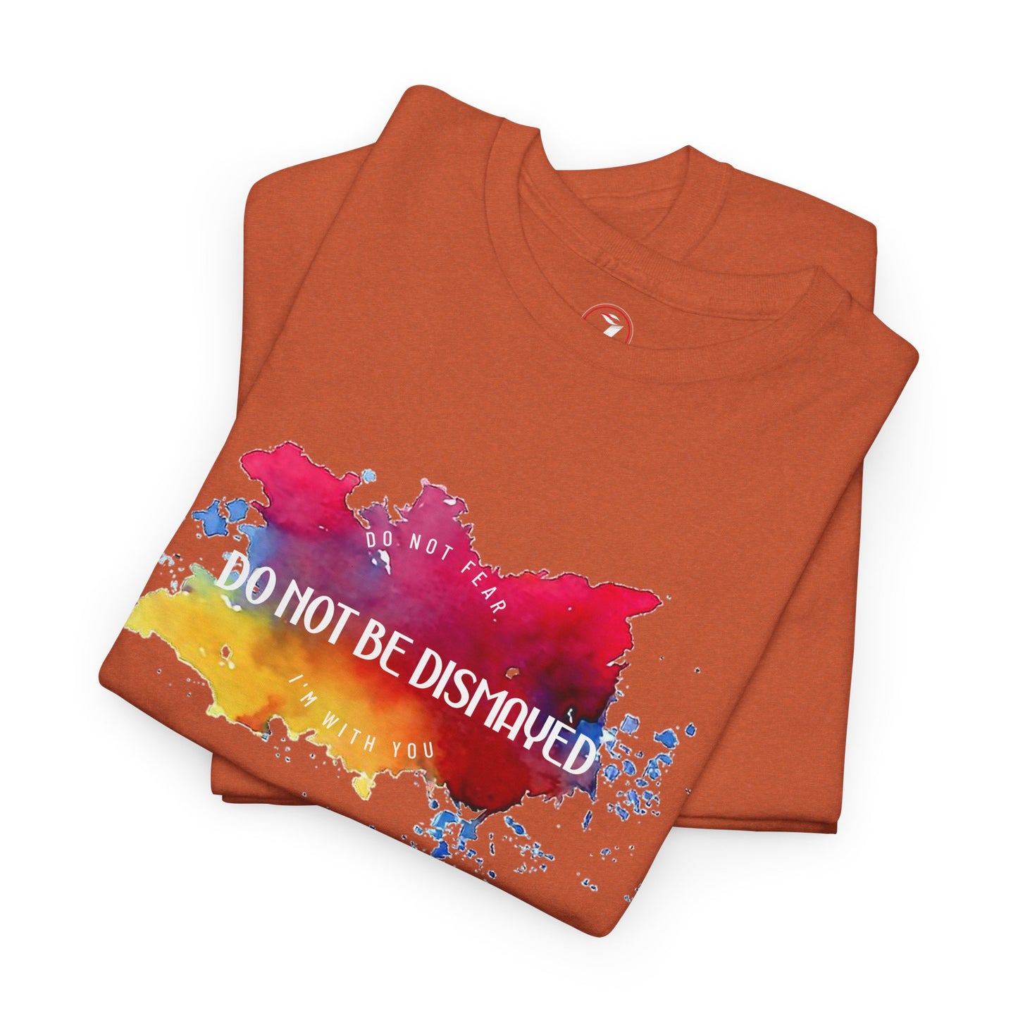 Do Not Be Dismayed Unisex Heavy Cotton Tee