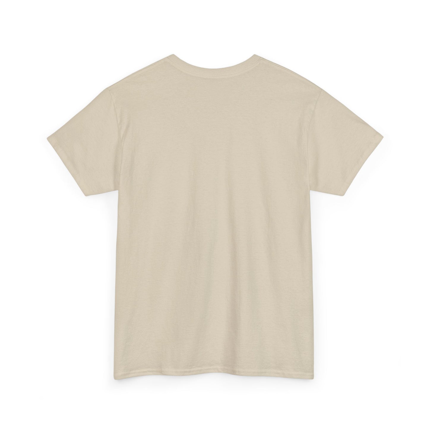 Jesus Rated E Unisex Heavy Cotton Tee Christian T-Shirt