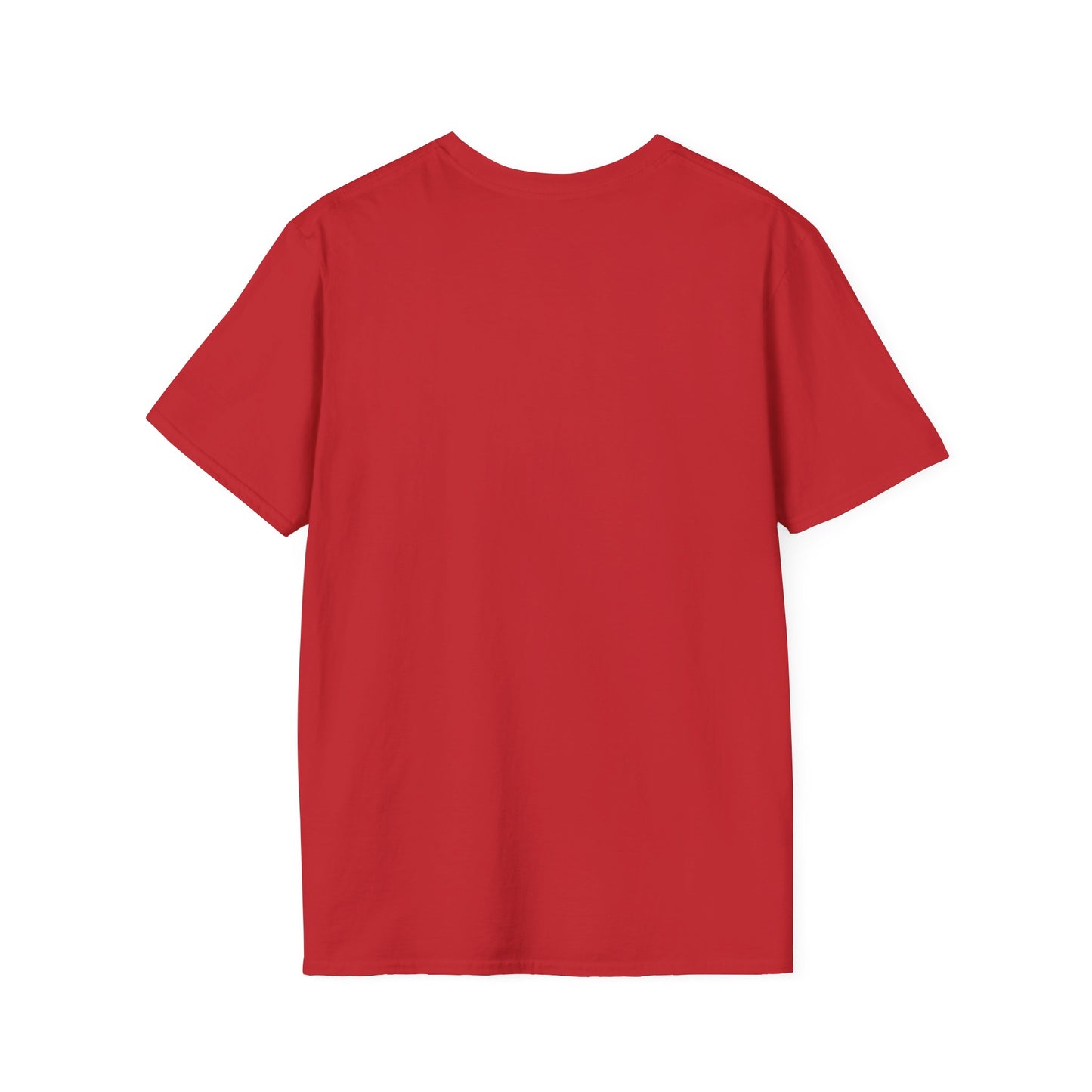 King of Kings Inspirational Graphic T-Shirt