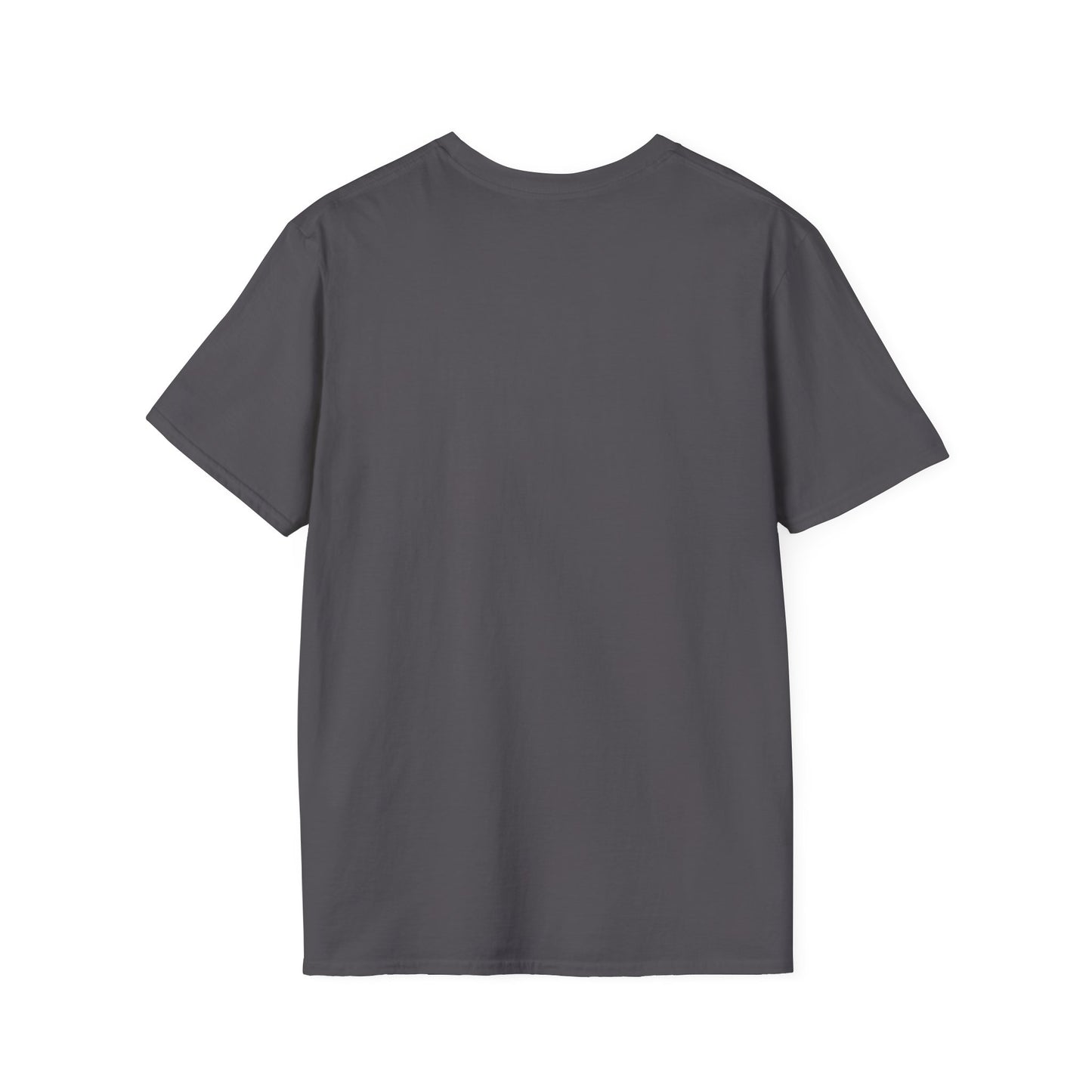 King of Kings Inspirational Graphic T-Shirt